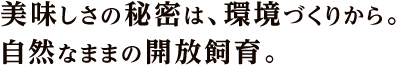 美味しさの秘密は、環境づくりから。自然なままの解放飼育。